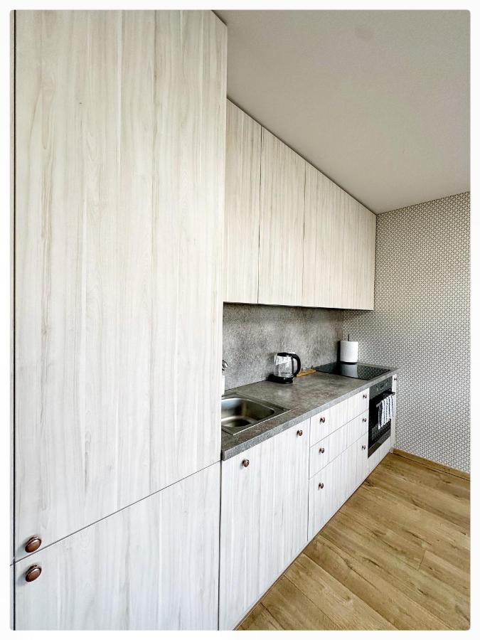 Apartaments In The City Centre Kaunas Ngoại thất bức ảnh