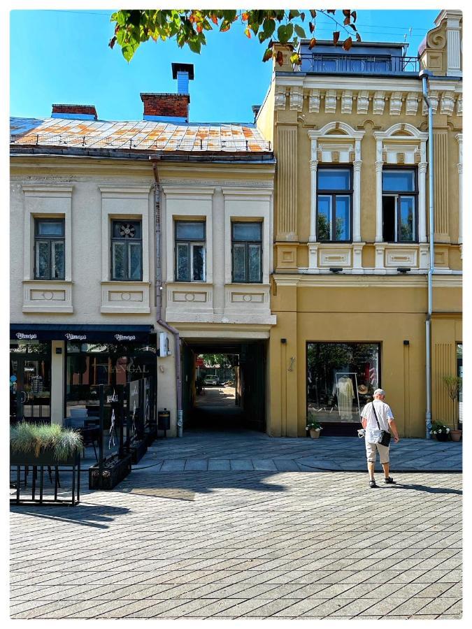 Apartaments In The City Centre Kaunas Ngoại thất bức ảnh